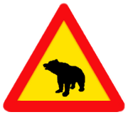 Bären in Schweden