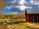 Herbst-Urlaub in Schweden image