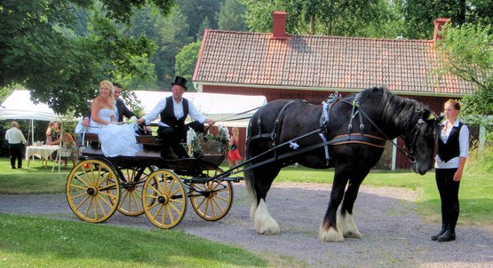 Hochzeits-Pferdekutsche