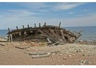17. Tag - Auf Öland und im Trollskogen image